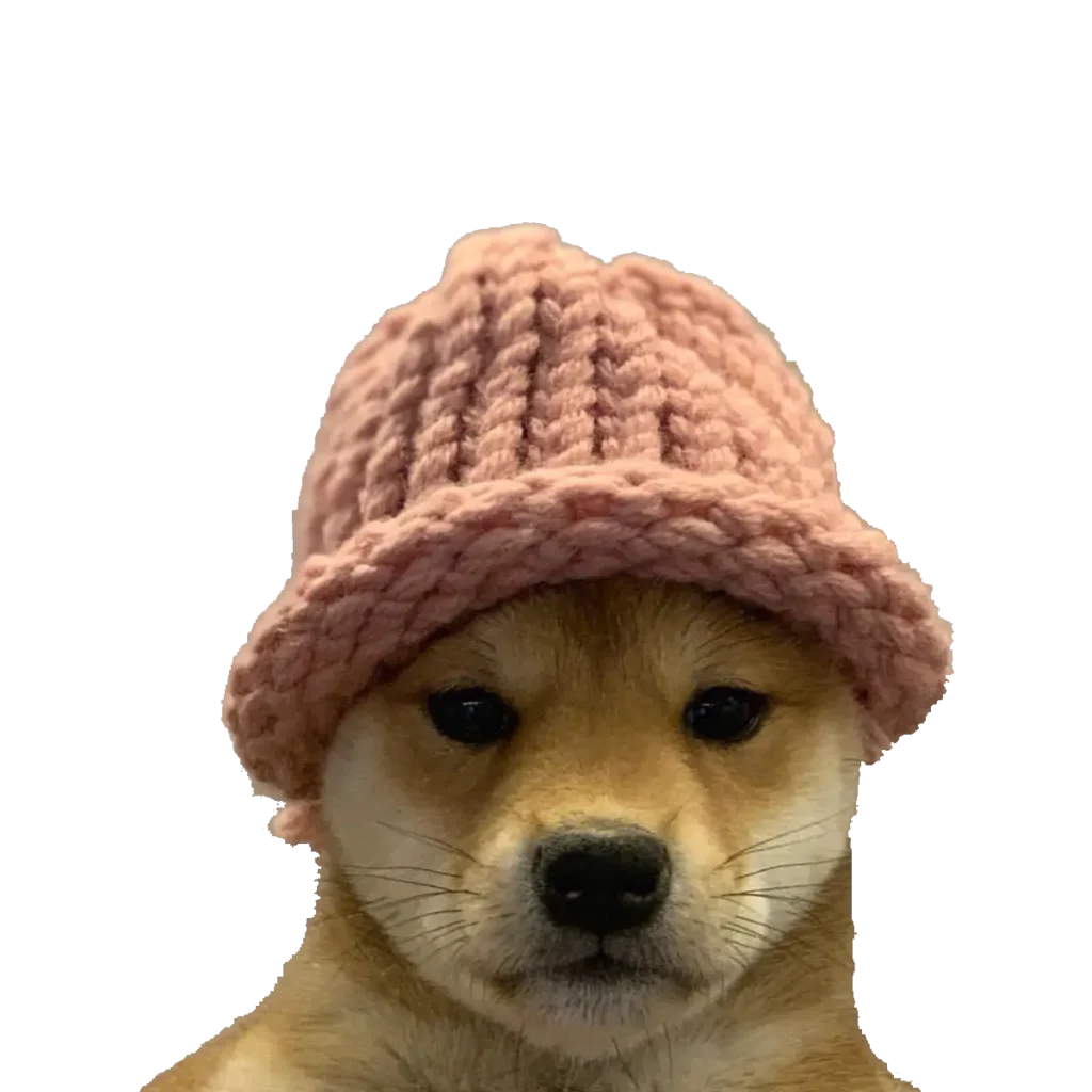 Dog wif hat image 