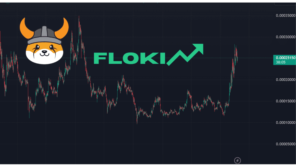 FLOKI INU coin Price