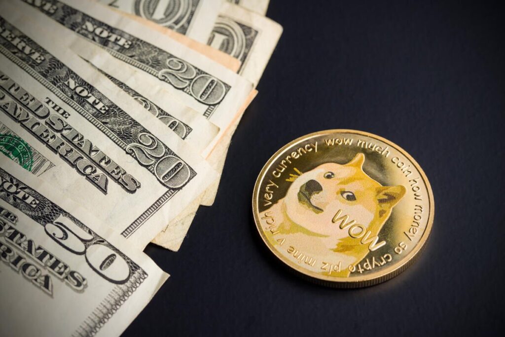 Doge coin Image 